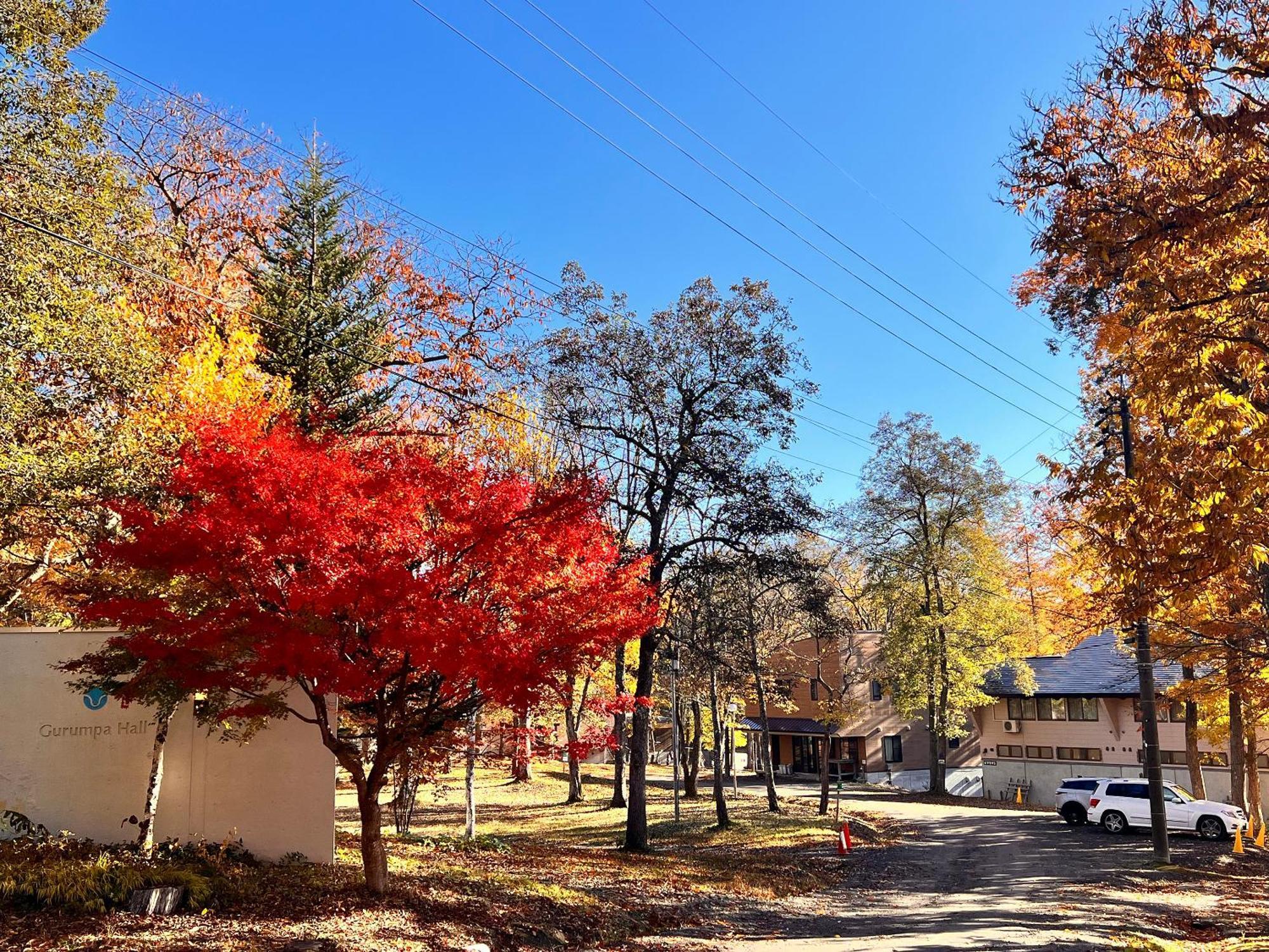 Labo Land Kurohime Villa Shinano  Exterior photo