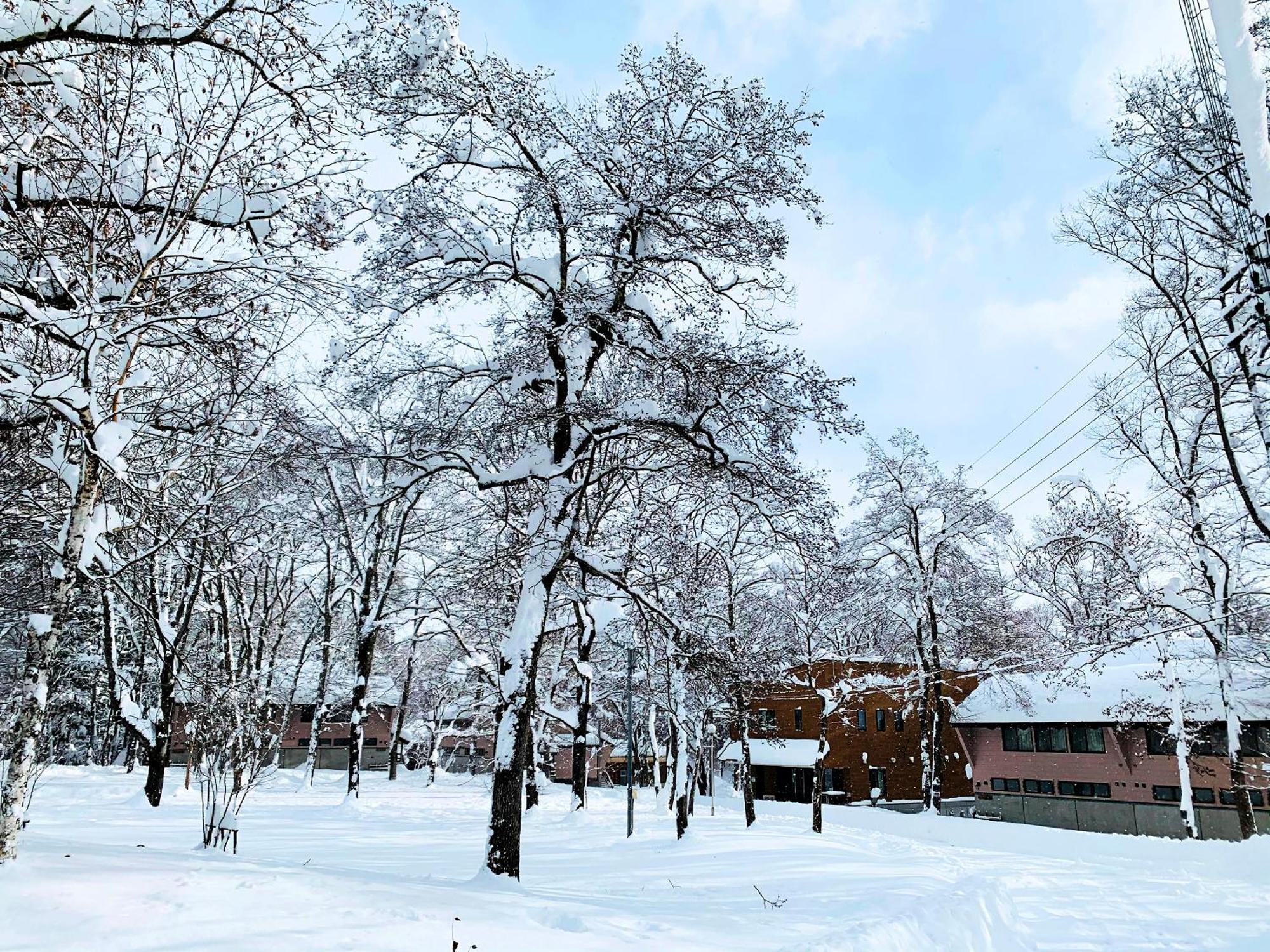 Labo Land Kurohime Villa Shinano  Exterior photo