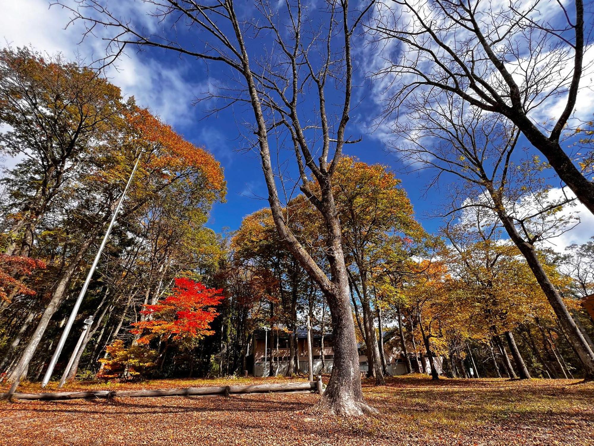 Labo Land Kurohime Villa Shinano  Exterior photo