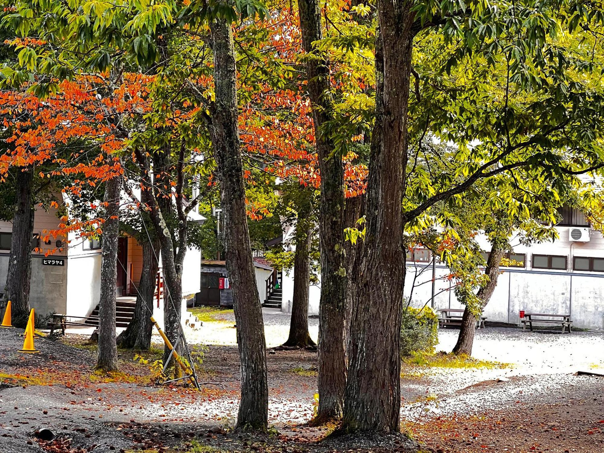 Labo Land Kurohime Villa Shinano  Exterior photo